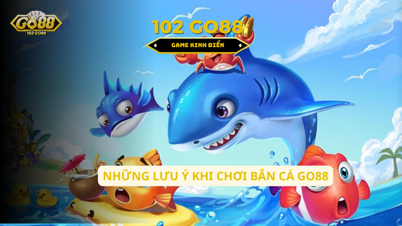 lưu ý khi chơi