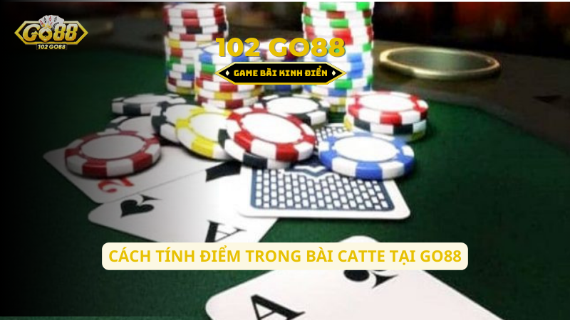 cách tính điểm trong catte