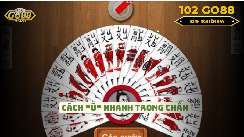 ù trong chắn