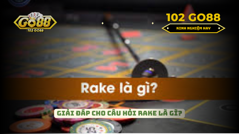 Giải đáp câu hỏi Rake là gì?