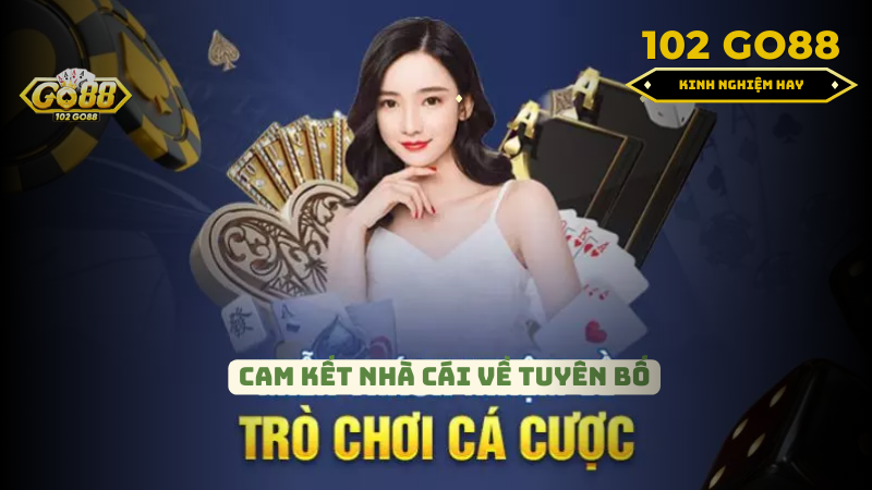 Tuyên bố miễn trừ trách nhiệm