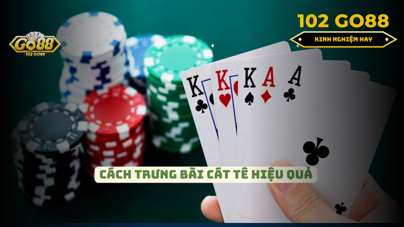 cách trưng bài catte