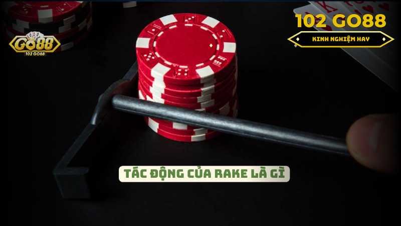 Tác động của Rake là gì?