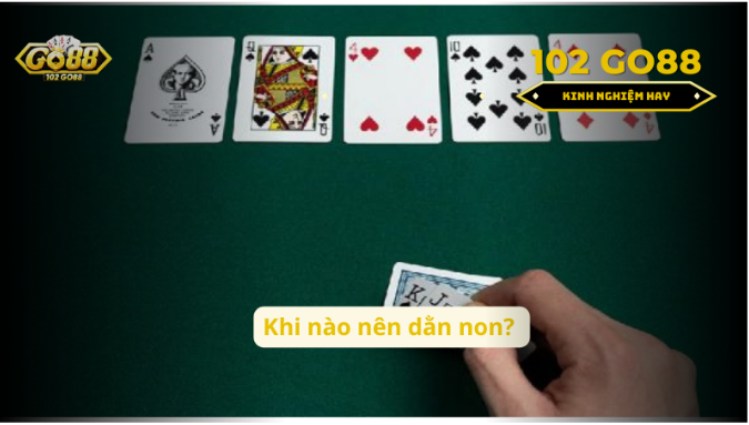 Giải đáp dằn non là gì?