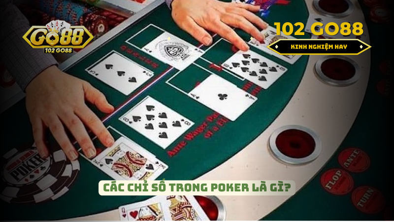 các chỉ số trong poker