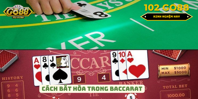 bắt hòa trong baccarat